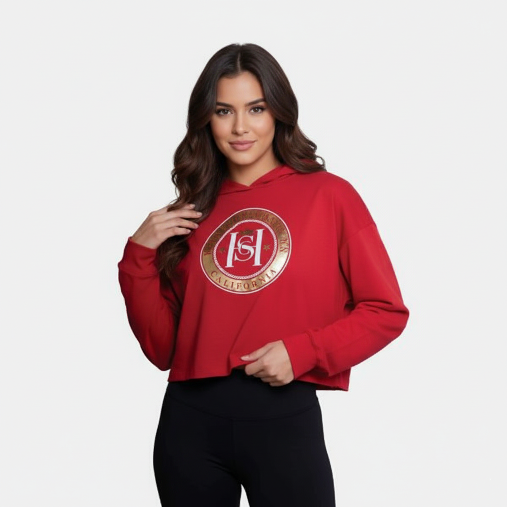 Hoodie Crop Top Graphic Print